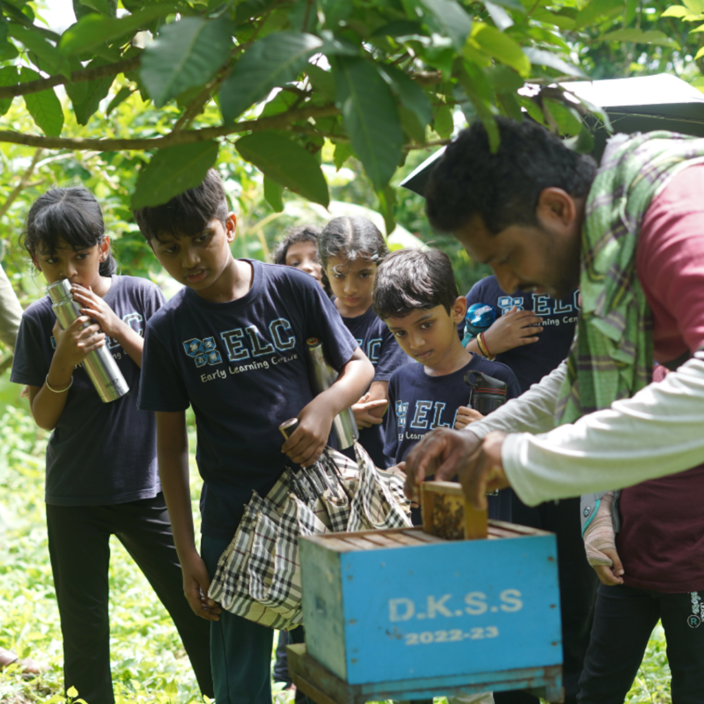 How Nature-Based Learning Supports Children