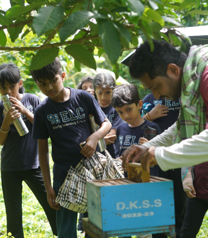 outdoor_learning